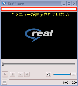 realplay1.png(9350 byte)