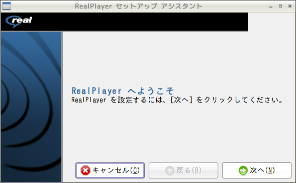 realplay4.png(46998 byte)
